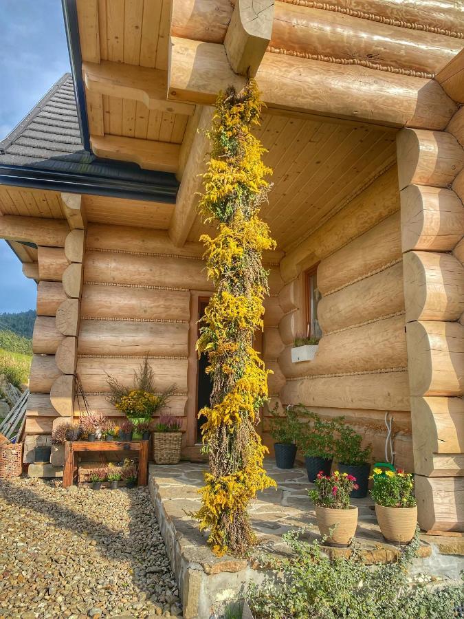 Dziejba Lesna Apartamenty &Spa - Piekne I Nowe Apartamenty I Domek, Sauna I Jacuzzi - W Cenie I Na Wylacznosc, 1 Km Od Stoku Явірки Екстер'єр фото